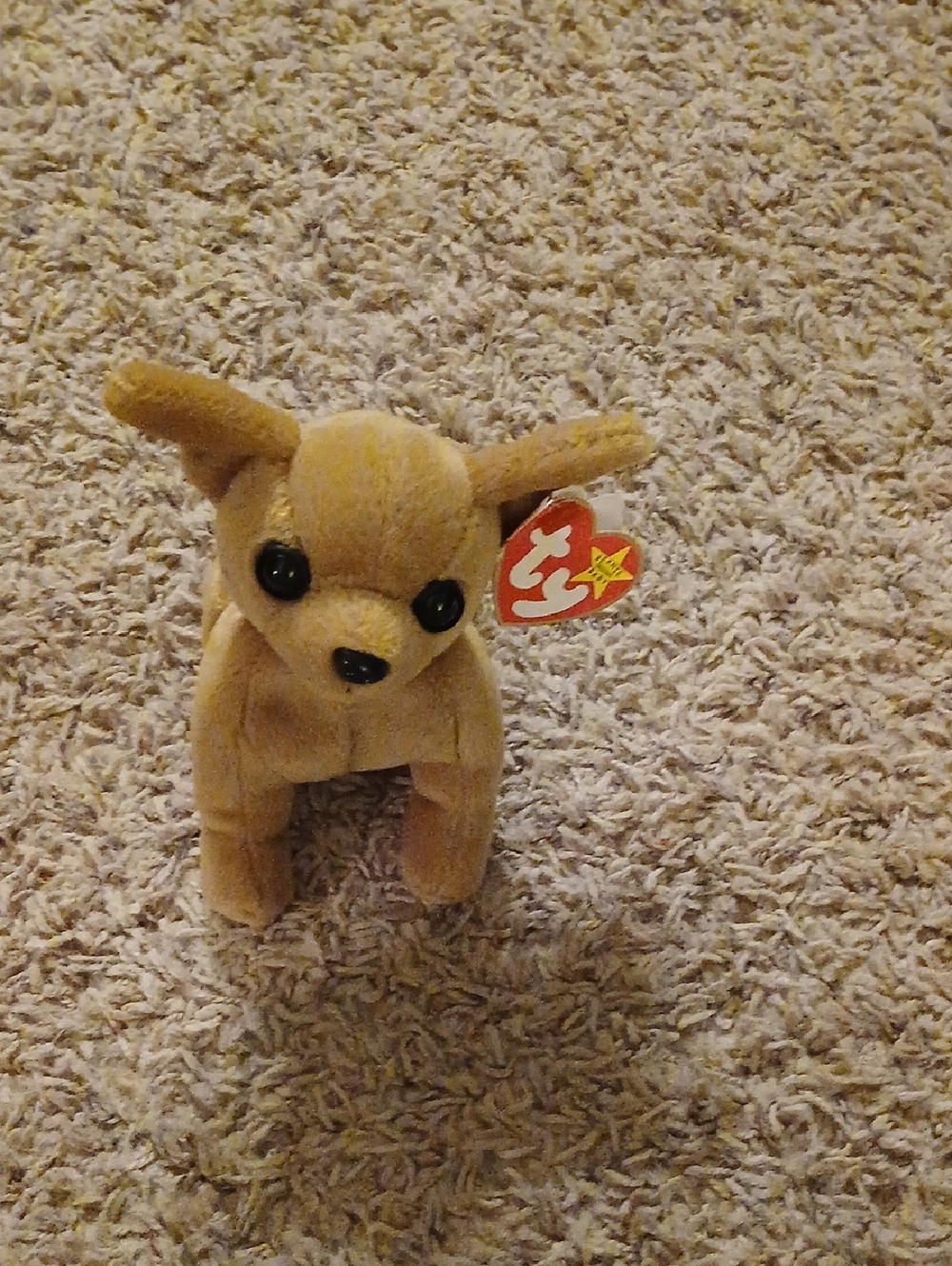 Ty Tan Chihuahua Beanie Baby Plush with Heart Tag